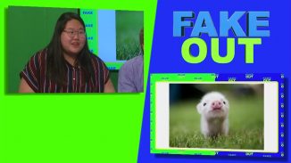 Fake Out_2018fall_09