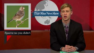 The Other News Show_2016spring_10