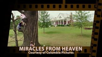 The Screening Room_2016spring_05